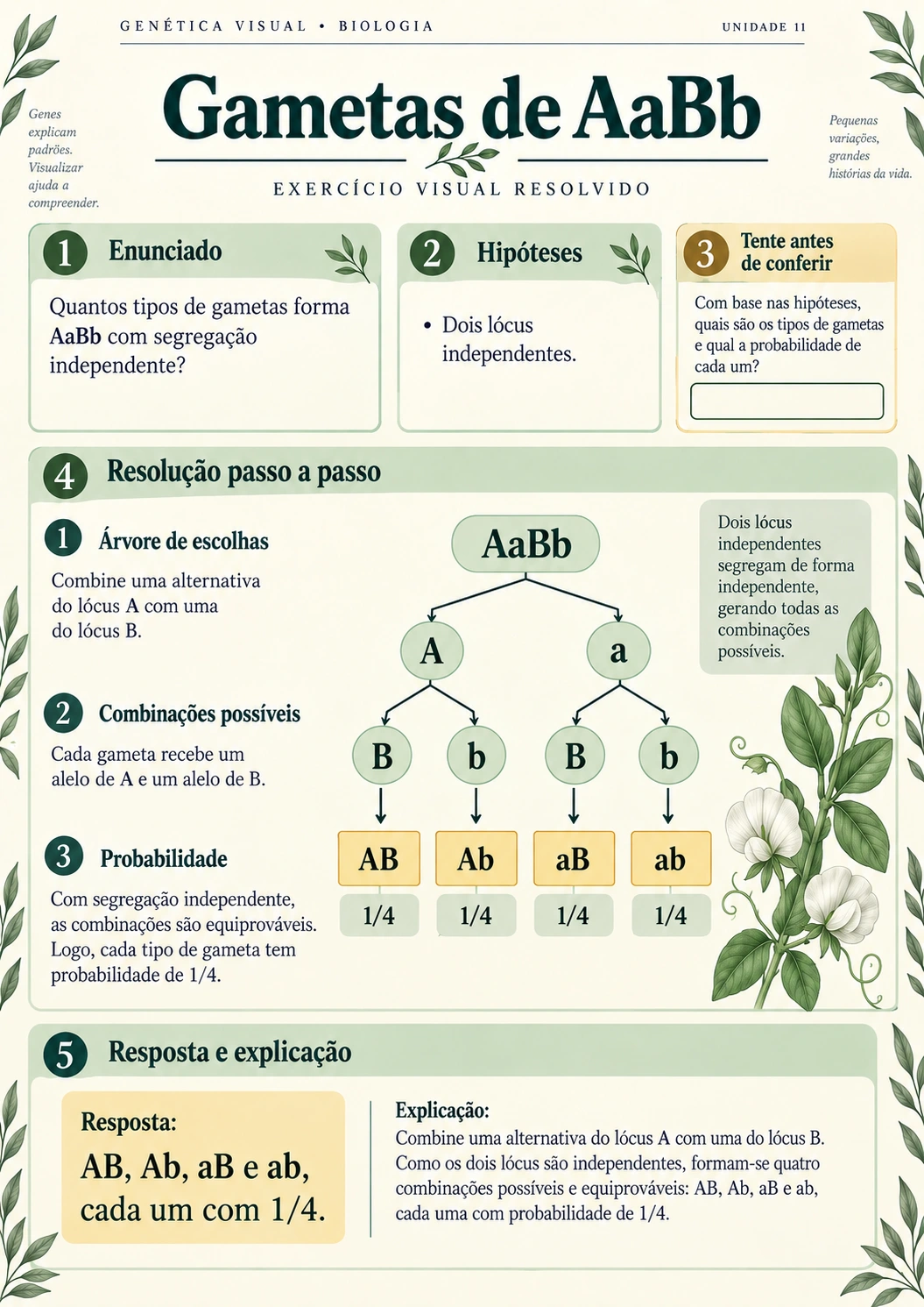 Prévia 2